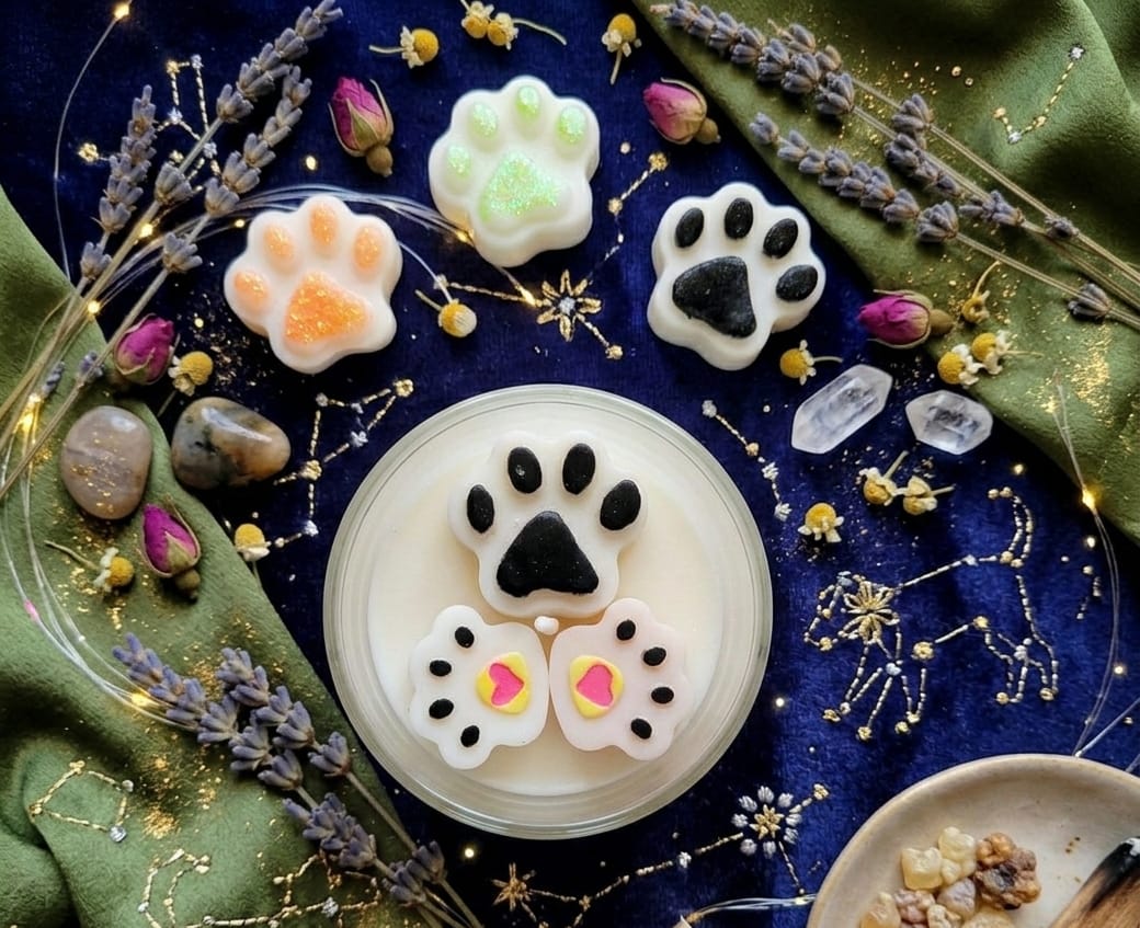 Portafolio luz patitas 1