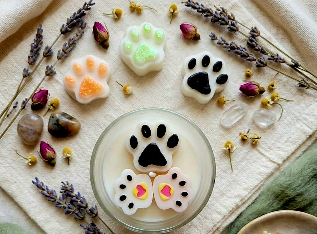 Portafolio luz patitas 2